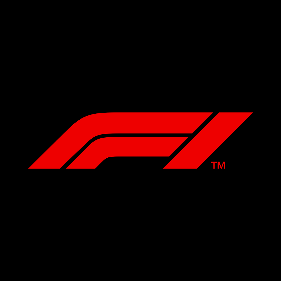 F1™ FW Logo Nyckelring - Bild 4